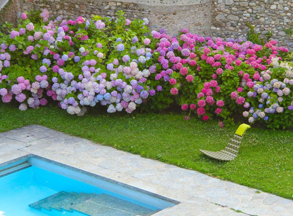 Guest house Vescogna Country House